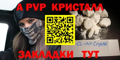 молекула духа Будённовск