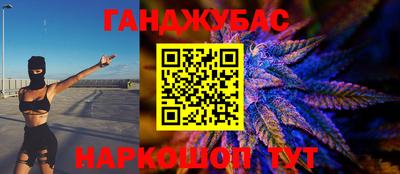 молекула духа Будённовск